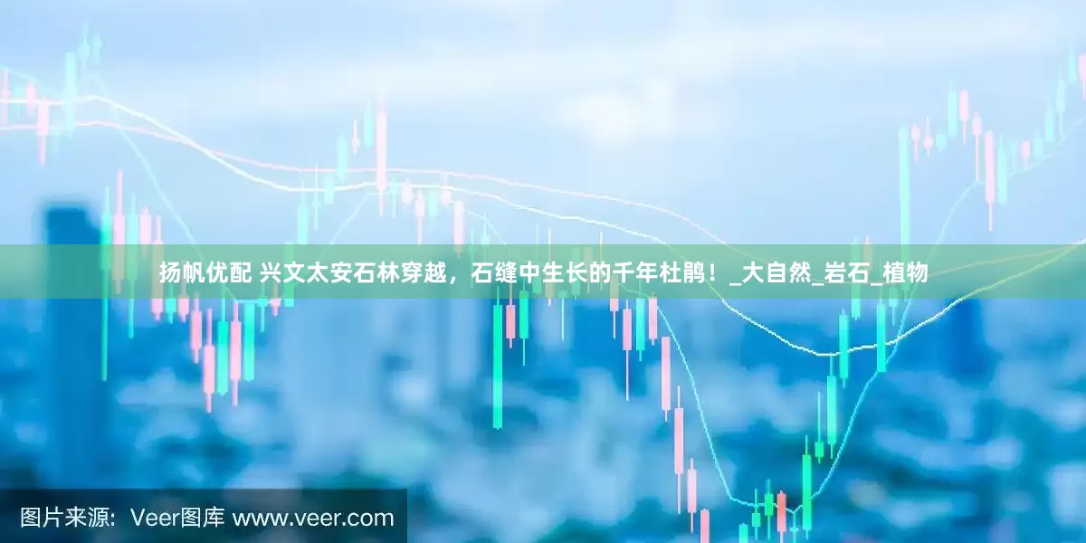 扬帆优配 兴文太安石林穿越，石缝中生长的千年杜鹃！_大自然_岩石_植物