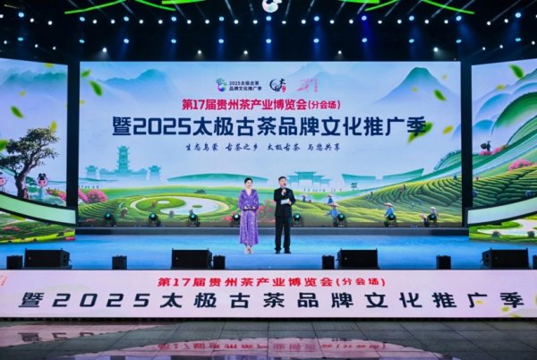 大咖配资 贵州毕节茶产业开启高质量发展新篇章