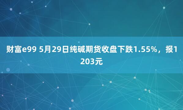 财富e99 5月29日纯碱期货收盘下跌1.55%，报1203元