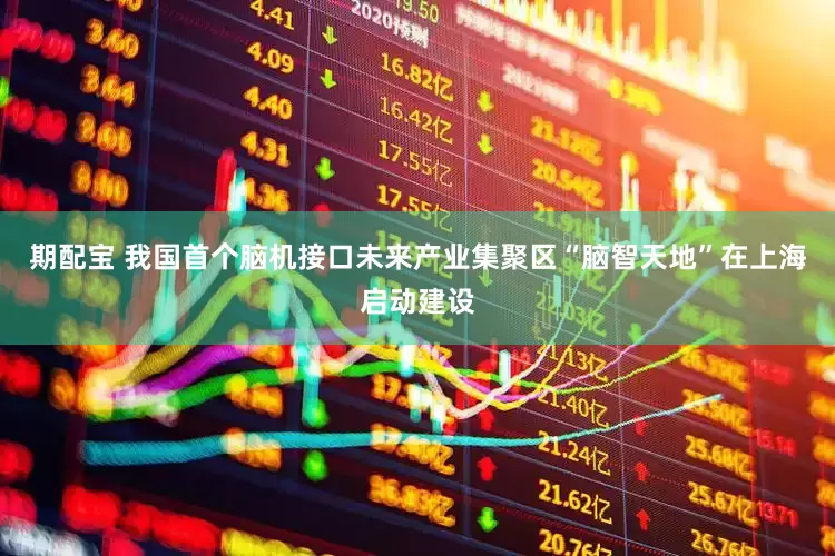 期配宝 我国首个脑机接口未来产业集聚区“脑智天地”在上海启动建设