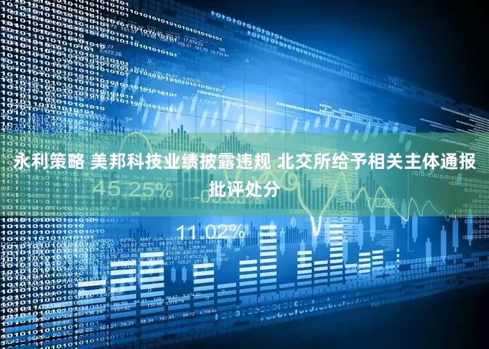 永利策略 美邦科技业绩披露违规 北交所给予相关主体通报批评处分